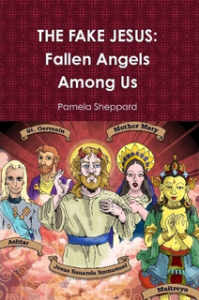 cover_the fake Jesus_new